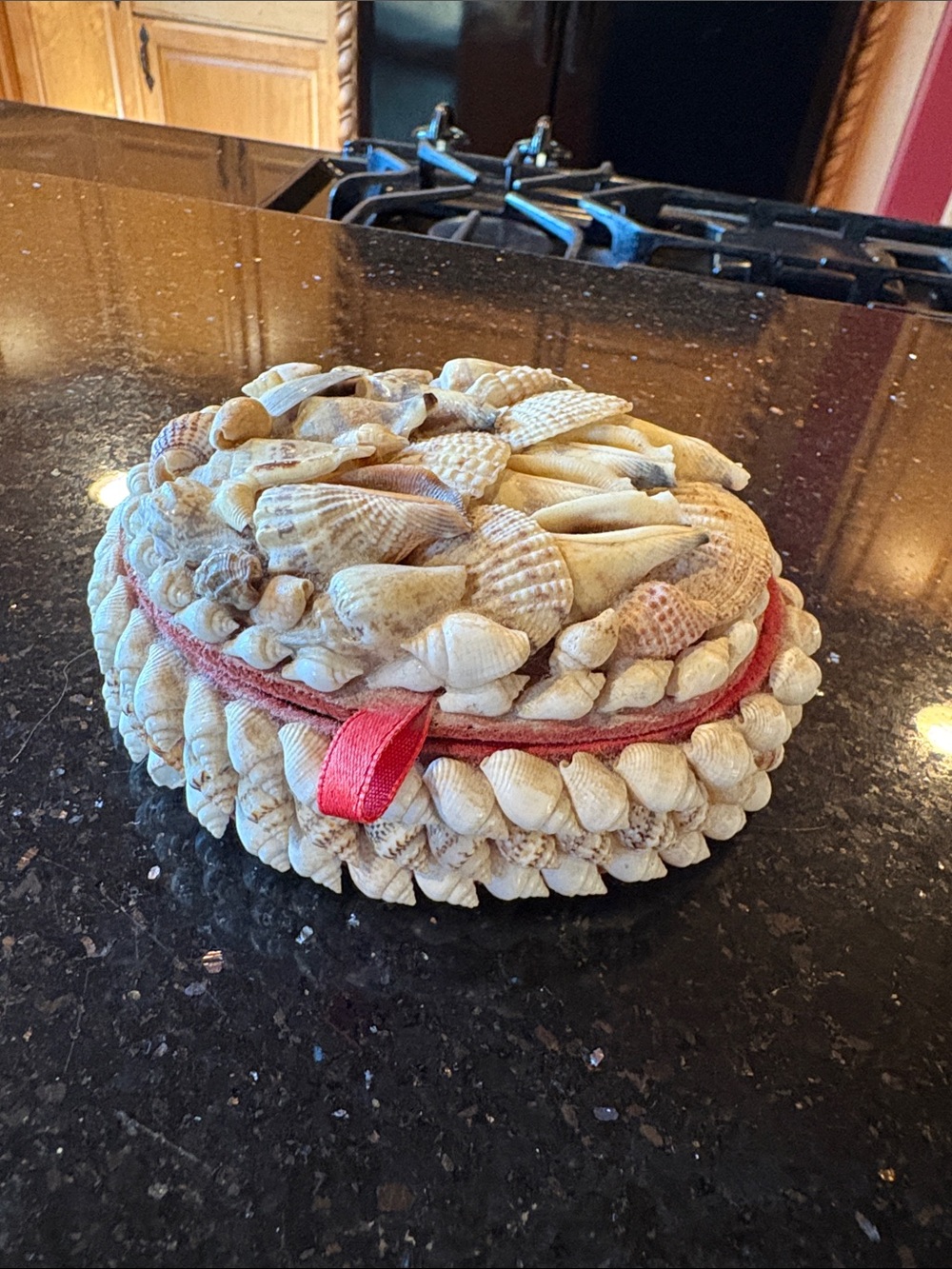 Seashell Round Trinket Box with Red Accent - Women Accessories